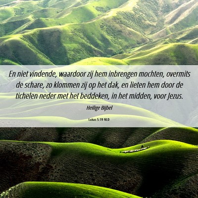 Picture 06 - Lukas 5:19 NLD - En niet vindende, waardoor zij hem inbrengen - Bible Verse Picture
