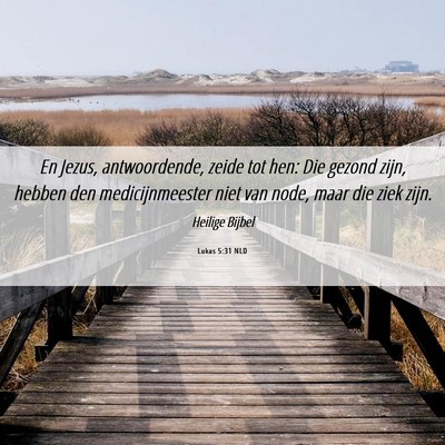 Picture 06 - Lukas 5:31 NLD - En Jezus, antwoordende, zeide tot hen: Die gezond - Bible Verse Picture