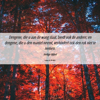 Picture 06 - Lukas 6:29 NLD - Dengene, die u aan de wang slaat, biedt ook de - Bible Verse Picture
