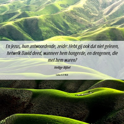 Picture 06 - Lukas 6:3 NLD - En Jezus, hun antwoordende, zeide: Hebt gij ook - Bible Verse Picture