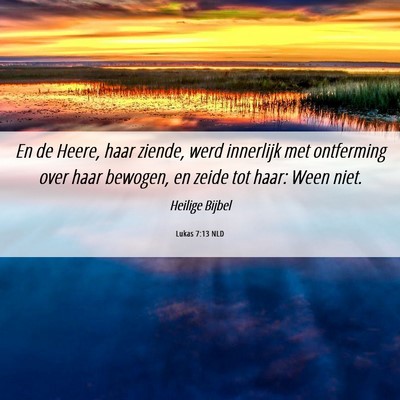 Picture 06 - Lukas 7:13 NLD - En de Heere, haar ziende, werd innerlijk met - Bible Verse Picture