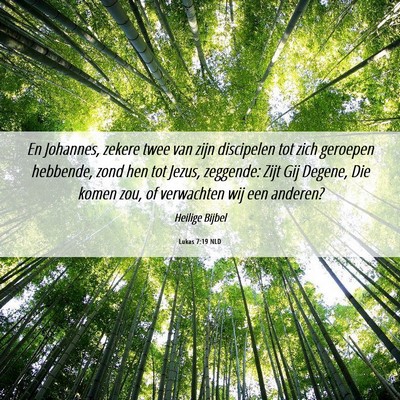 Picture 06 - Lukas 7:19 NLD - En Johannes, zekere twee van zijn discipelen tot - Bible Verse Picture