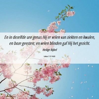 Picture 06 - Lukas 7:21 NLD - En in dezelfde ure genas Hij er velen van ziekten - Bible Verse Picture