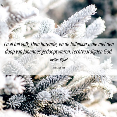 Picture 06 - Lukas 7:29 NLD - En al het volk, Hem horende, en de tollenaars, - Bible Verse Picture