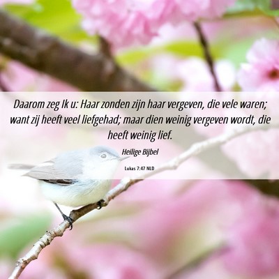Picture 06 - Lukas 7:47 NLD - Daarom zeg Ik u: Haar zonden zijn haar vergeven, - Bible Verse Picture