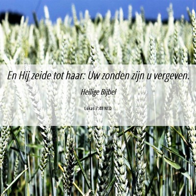 Picture 06 - Lukas 7:48 NLD - En Hij zeide tot haar: Uw zonden zijn u - Bible Verse Picture