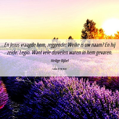 Picture 06 - Lukas 8:30 NLD - En Jezus vraagde hem, zeggende: Welke is uw naam? - Bible Verse Picture