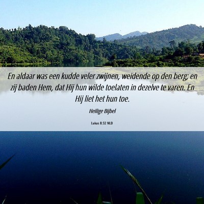 Picture 06 - Lukas 8:32 NLD - En aldaar was een kudde veler zwijnen, weidende - Bible Verse Picture