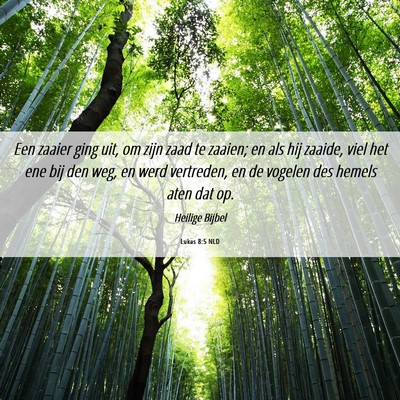 Picture 06 - Lukas 8:5 NLD - Een zaaier ging uit, om zijn zaad te zaaien; en - Bible Verse Picture