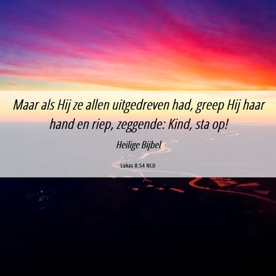 Picture 06 - Lukas 8:54 NLD - Maar als Hij ze allen uitgedreven had, greep Hij - Bible Verse Picture