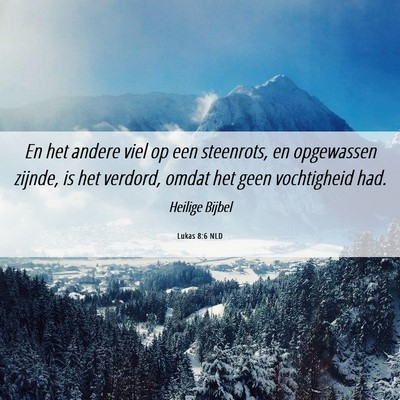 Picture 06 - Lukas 8:6 NLD - En het andere viel op een steenrots, en - Bible Verse Picture