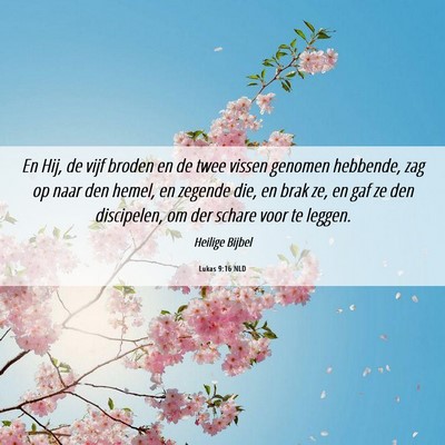 Picture 06 - Lukas 9:16 NLD - En Hij, de vijf broden en de twee vissen genomen - Bible Verse Picture