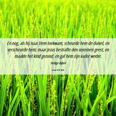 Picture 06 - Lukas 9:42 NLD - En nog, als hij naar Hem toekwam, scheurde hem de - Bible Verse Picture