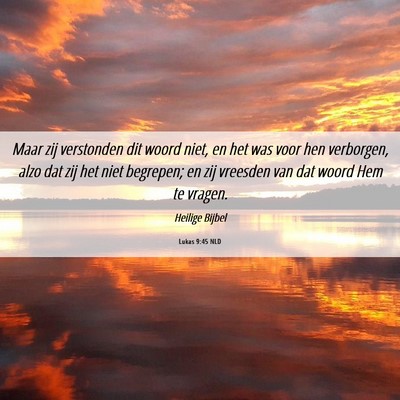 Picture 06 - Lukas 9:45 NLD - Maar zij verstonden dit woord niet, en het was - Bible Verse Picture