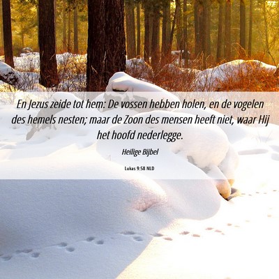 Picture 06 - Lukas 9:58 NLD - En Jezus zeide tot hem: De vossen hebben holen, - Bible Verse Picture