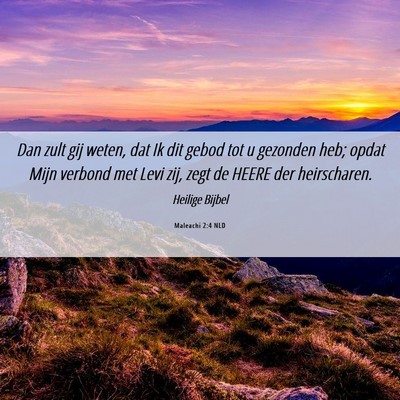 Picture 06 - Maleachi 2:4 NLD - Dan zult gij weten, dat Ik dit gebod tot u - Bible Verse Picture
