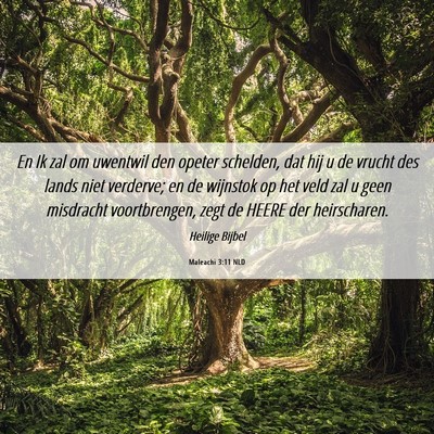 Picture 06 - Maleachi 3:11 NLD - En Ik zal om uwentwil den opeter schelden, dat - Bible Verse Picture