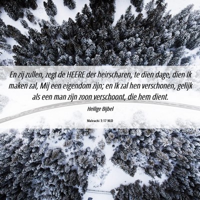 Picture 06 - Maleachi 3:17 NLD - En zij zullen, zegt de HEERE der heirscharen, te - Bible Verse Picture