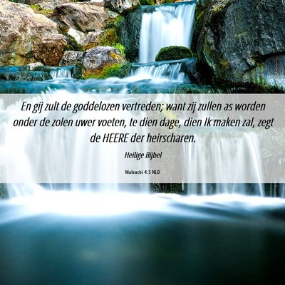 Picture 06 - Maleachi 4:3 NLD - En gij zult de goddelozen vertreden; want zij - Bible Verse Picture