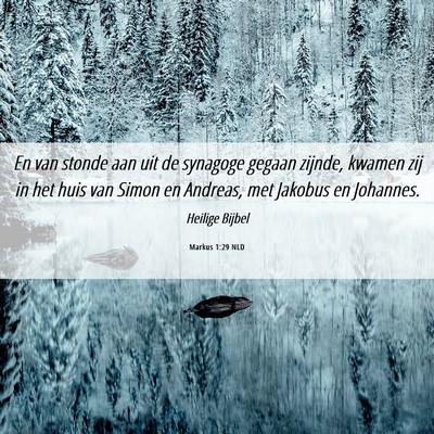 Picture 06 - Markus 1:29 NLD - En van stonde aan uit de synagoge gegaan zijnde, - Bible Verse Picture