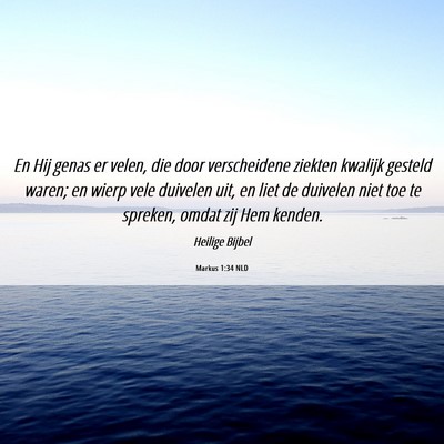 Picture 06 - Markus 1:34 NLD - En Hij genas er velen, die door verscheidene - Bible Verse Picture