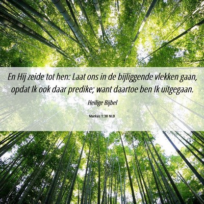 Picture 06 - Markus 1:38 NLD - En Hij zeide tot hen: Laat ons in de bijliggende - Bible Verse Picture