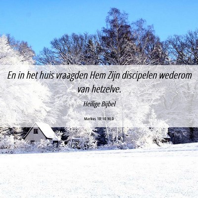 Picture 06 - Markus 10:10 NLD - En in het huis vraagden Hem Zijn discipelen - Bible Verse Picture