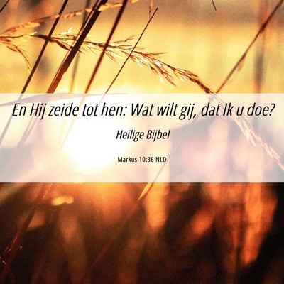 Picture 06 - Markus 10:36 NLD - En Hij zeide tot hen: Wat wilt gij, dat Ik u - Bible Verse Picture