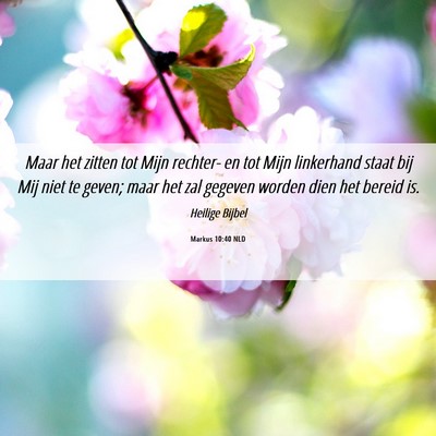Picture 06 - Markus 10:40 NLD - Maar het zitten tot Mijn rechter- en tot Mijn - Bible Verse Picture