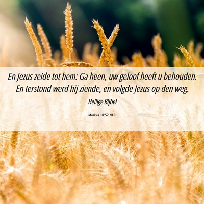Picture 06 - Markus 10:52 NLD - En Jezus zeide tot hem: Ga heen, uw geloof heeft - Bible Verse Picture