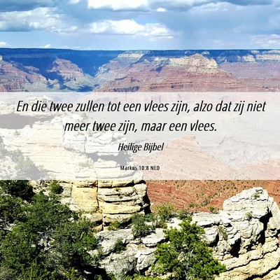 Picture 06 - Markus 10:8 NLD - En die twee zullen tot een vlees zijn, alzo dat - Bible Verse Picture