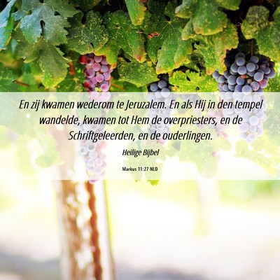 Picture 06 - Markus 11:27 NLD - En zij kwamen wederom te Jeruzalem. En als Hij in - Bible Verse Picture