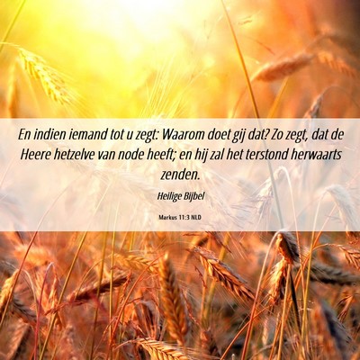 Picture 06 - Markus 11:3 NLD - En indien iemand tot u zegt: Waarom doet gij dat? - Bible Verse Picture
