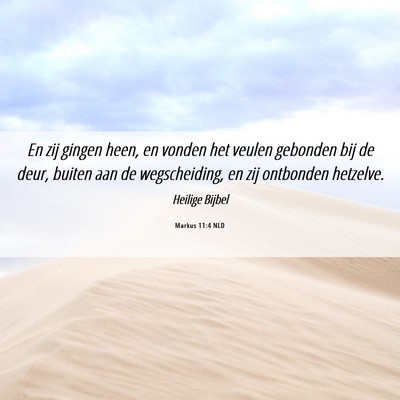 Picture 06 - Markus 11:4 NLD - En zij gingen heen, en vonden het veulen gebonden - Bible Verse Picture