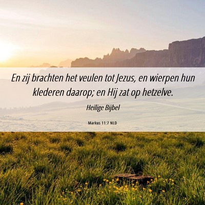Picture 06 - Markus 11:7 NLD - En zij brachten het veulen tot Jezus, en wierpen - Bible Verse Picture