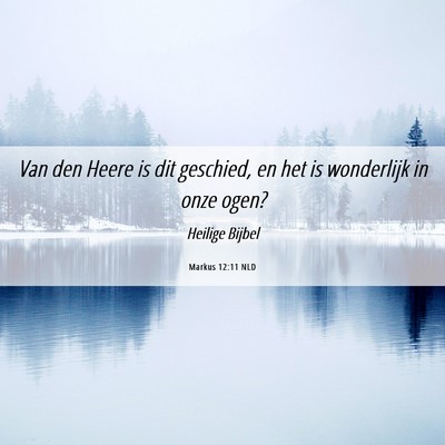 Picture 06 - Markus 12:11 NLD - Van den Heere is dit geschied, en het is - Bible Verse Picture