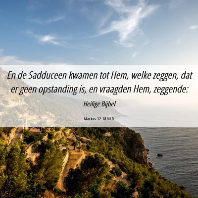 Picture 06 - Markus 12:18 NLD - En de Sadduceen kwamen tot Hem, welke zeggen, dat - Bible Verse Picture