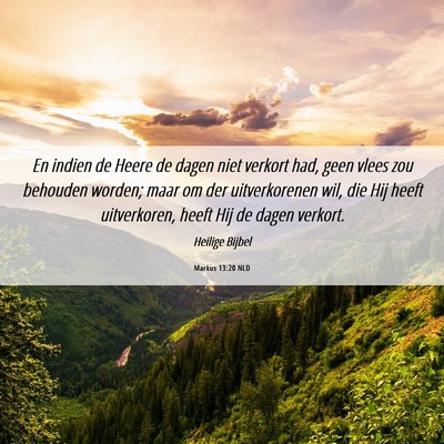 Picture 06 - Markus 13:20 NLD - En indien de Heere de dagen niet verkort had, - Bible Verse Picture
