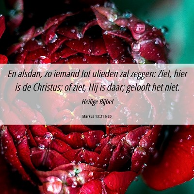 Picture 06 - Markus 13:21 NLD - En alsdan, zo iemand tot ulieden zal zeggen: - Bible Verse Picture