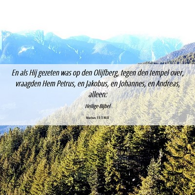 Picture 06 - Markus 13:3 NLD - En als Hij gezeten was op den Olijfberg, tegen - Bible Verse Picture