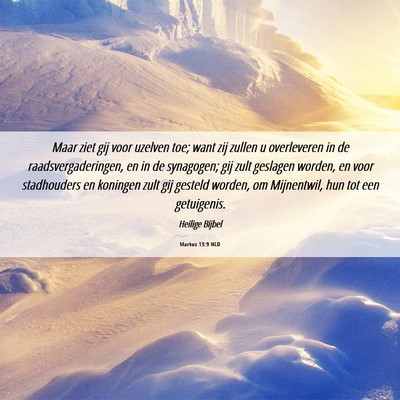 Picture 06 - Markus 13:9 NLD - Maar ziet gij voor uzelven toe; want zij zullen u - Bible Verse Picture