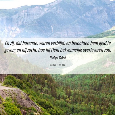 Picture 06 - Markus 14:11 NLD - En zij, dat horende, waren verblijd, en beloofden - Bible Verse Picture
