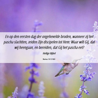 Picture 06 - Markus 14:12 NLD - En op den eersten dag der ongehevelde broden, - Bible Verse Picture
