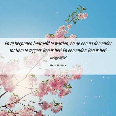 Picture 06 - Markus 14:19 NLD - En zij begonnen bedroefd te worden, en de een na - Bible Verse Picture