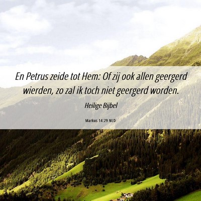 Picture 06 - Markus 14:29 NLD - En Petrus zeide tot Hem: Of zij ook allen - Bible Verse Picture