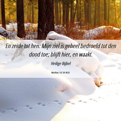Picture 06 - Markus 14:34 NLD - En zeide tot hen: Mijn ziel is geheel bedroefd - Bible Verse Picture