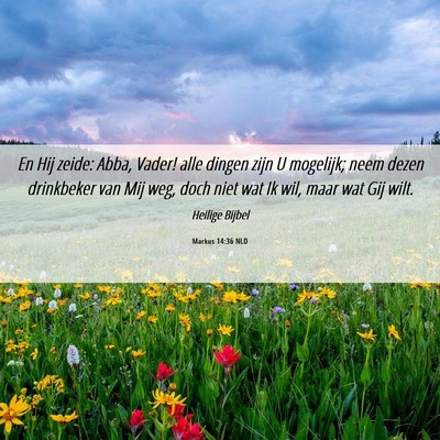 Picture 06 - Markus 14:36 NLD - En Hij zeide: Abba, Vader! alle dingen zijn U - Bible Verse Picture