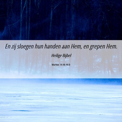 Picture 06 - Markus 14:46 NLD - En zij sloegen hun handen aan Hem, en grepen - Bible Verse Picture