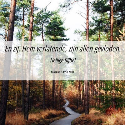 Picture 06 - Markus 14:50 NLD - En zij, Hem verlatende, zijn allen - Bible Verse Picture