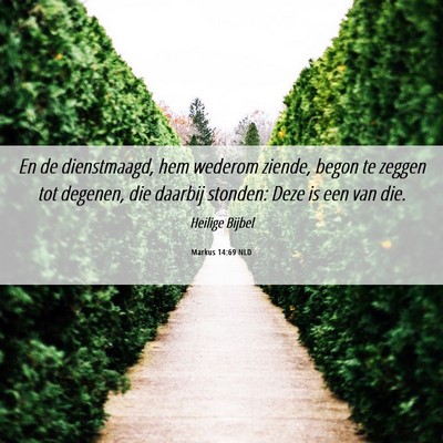 Picture 06 - Markus 14:69 NLD - En de dienstmaagd, hem wederom ziende, begon te - Bible Verse Picture